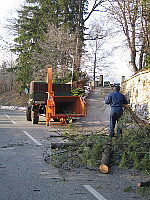 Višinsko podiranje dreves